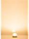 Faller 180667 Beleuchtungssockel LED, warmweiss, 16V