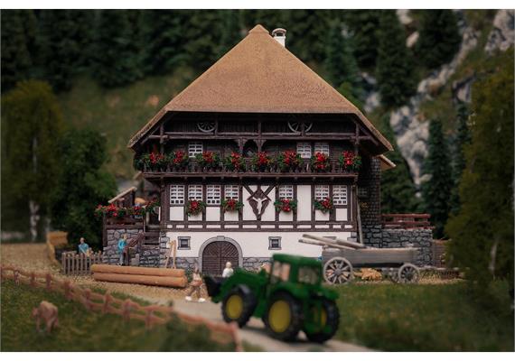 Faller 232010 Jubiläumsmodell Schwarzwaldhof mit 2 Figuren - N (1:160) | Bild 2