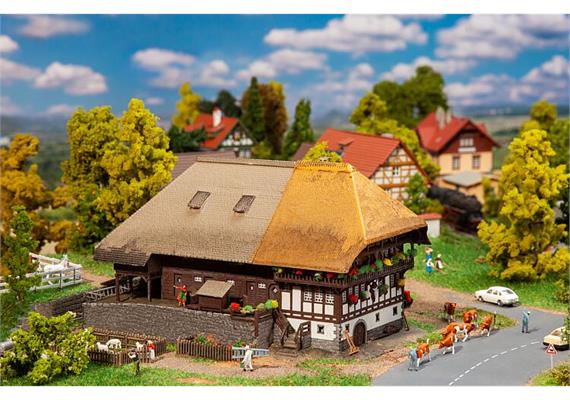 Faller 232395 Schwarzwaldhof mit Strohdach | Bild 1