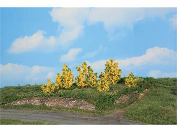 HEKI 11800 6 Forsythiensträucher, 3 - 6 cm