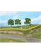 HEKI 11805 2 flexible Forsythienhecken, 0,7 x 0,7 x 50 cm