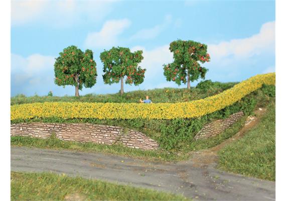 HEKI 11810 2 flexible Forsythienhecken, 0,7 x 1,4 x 50 cm