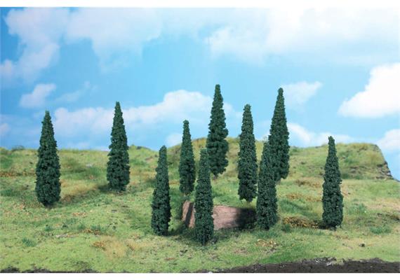 HEKI 1190 8 Zypressen, 9 cm