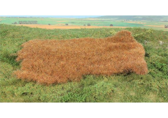 HEKI 15792 decovlies Wildgras, Spätherbst 28 x14 cm