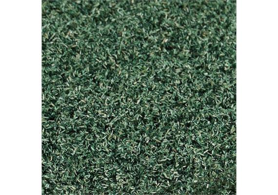 Heki 1689 Blattlaub weidengrün, 200 ml