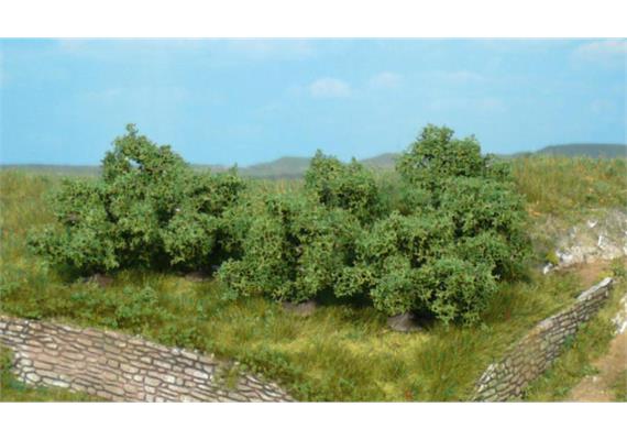 HEKI 1735 8 Büsche, 4 cm