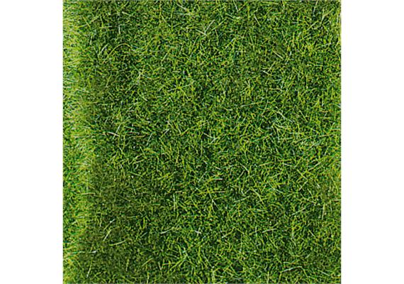 HEKI 1857 Wildgras dunkel Grosspackung 40 x 40 cm | Bild 1