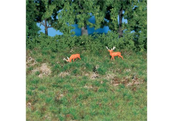 HEKI 1882 Strukturgras Waldboden