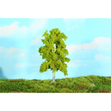 Heki 19105 1 Birke, 18 cm