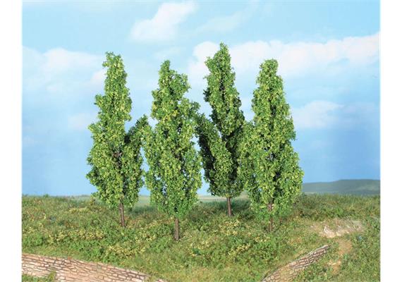 HEKI 19110 4 Pappeln, 13 cm