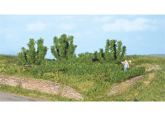 HEKI 19126 8 Büsche und Hecken