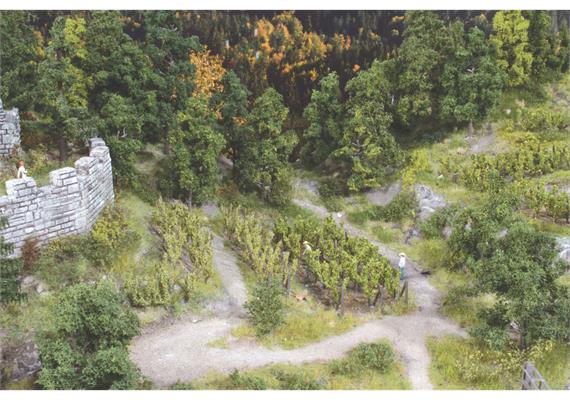 HEKI 19136 Weinreben ca. 2,5 cm incl. Spannpfosten, 36 Stück