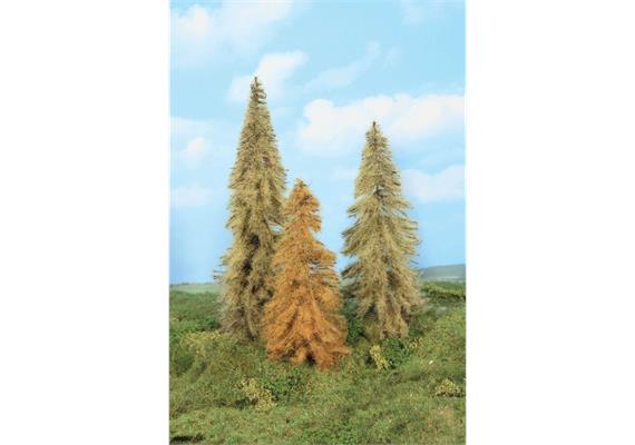 HEKI 2177 3 Lärchen herbstlich 18 - 24 cm - H0, H0m, 0, 0m