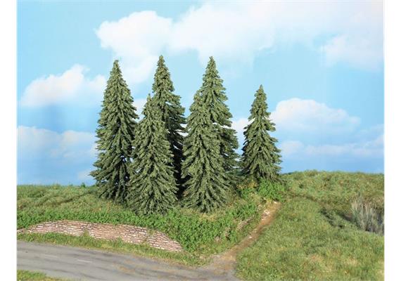 HEKI 21801 6 Wetterfichten, 14 - 18 cm