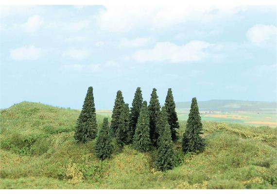 HEKI 2196 100 Stecktannen, 5 - 7 cm