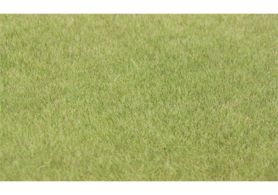 HEKI 33541 Steppengras hell, 75 g, 5 - 6 mm