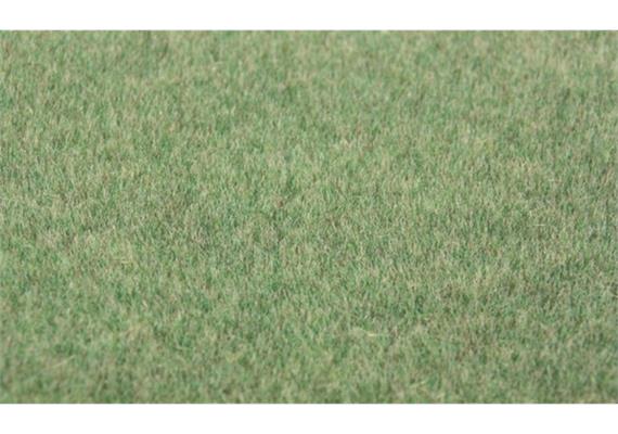 HEKI 33542 Steppengras dunkel, 75 g, 5 - 6 mm