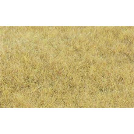 HEKI 33543 Grasfaser Willdgras Heuwiese, 75 g