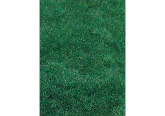 Heki 3369 Wildgras dunkelgrün, 75 g