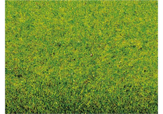 Noch 00290 Frühlingswiesenmatte 200 x 120 cm | Bild 3