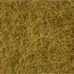 Noch 07101 Wildgras beige, 50 g | Bild 2