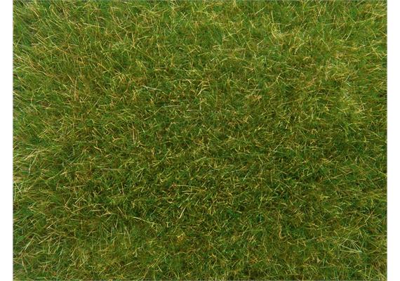 Noch 07118 Wildgras mittelgrün, 50 g | Bild 1