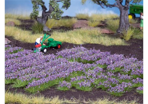 Noch 07136 Lavendel, 18 Streifen und 18 Büschel | Bild 2