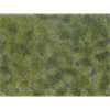Noch 07250 Bodendecker-Foliage mittelgrün - H0, TT, N, Z, 0, 1, G, H0m, H0e
