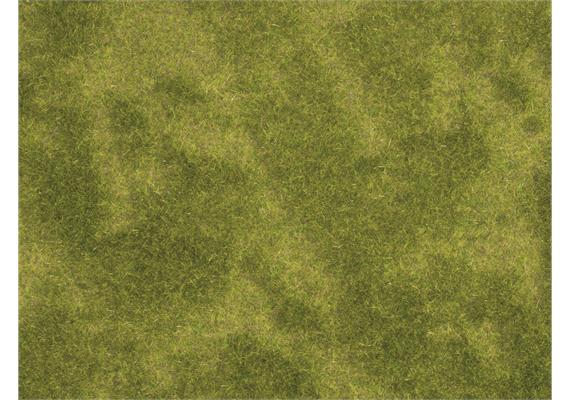 Noch 07471 Natur+ "Riedwiese" 25 x 25 cm, 2 Stück | Bild 2