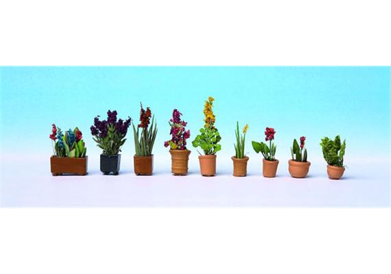 Noch 14012 Zierpflanzen in Blumentöpfen - H0 (1:87)