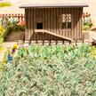 Noch 14107 Laser-Cut minis "Gemüsegarten-Set" HO | Bild 1
