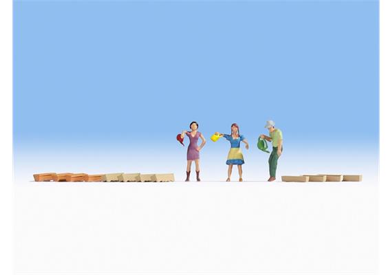 Noch 15570 Blumengiessen HO