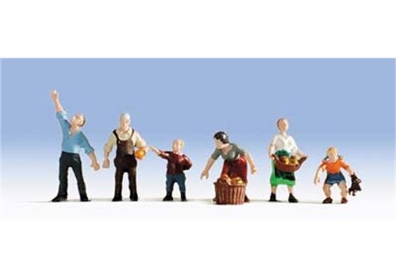 NOCH 15612 Obsternte