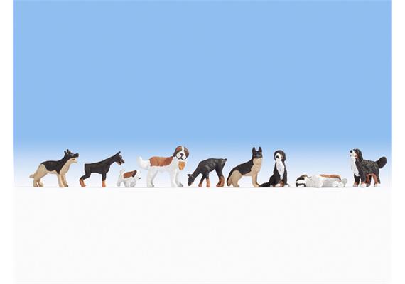 Noch 15717 Hunde HO