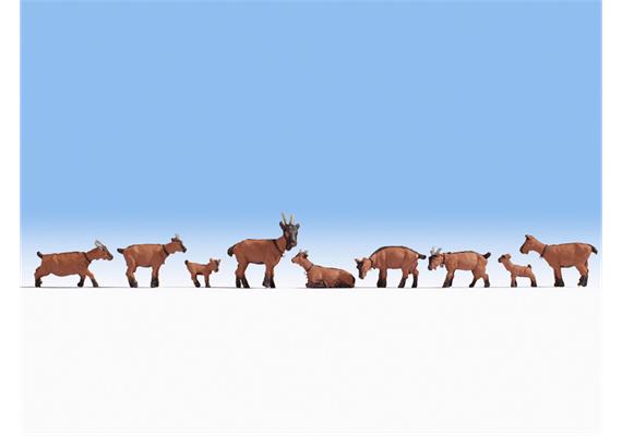 Noch 15752 Ziegen HO