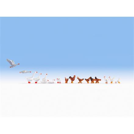 NOCH 15772 Hühner und Gänse - H0 1:87