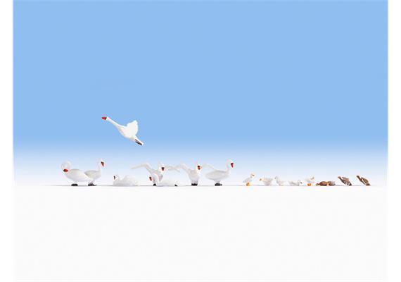 Noch 15774 Schwäne und Enten - H0 (1:87)