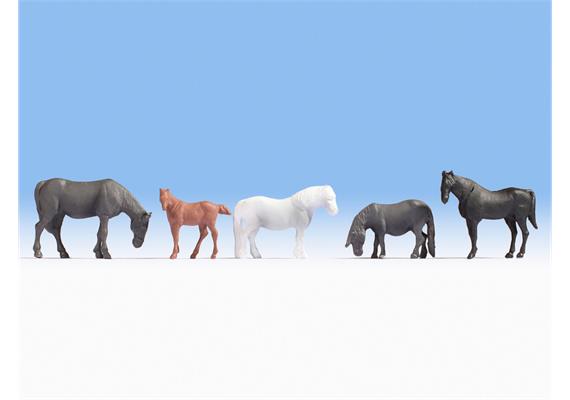 Noch 18215 Pferde - Serie Hobby HO