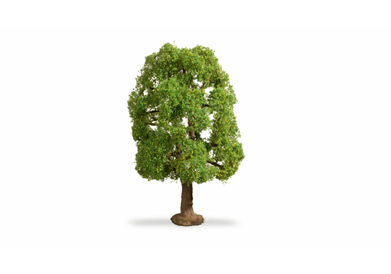 Noch 20100 Esche, 20 cm hoch | Bild 3