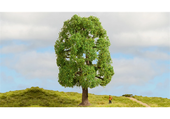 Noch 20100 Esche, 20 cm hoch | Bild 1