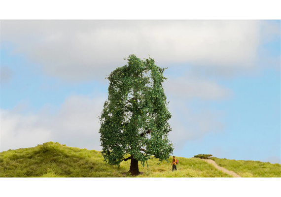 Noch 20110 Eiche, 15 cm hoch - H0, H0m, TT, N, Z, 0, 1, G | Bild 1