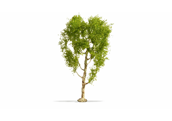 Noch 20125 Moorbirke, 21 cm hoch | Bild 2