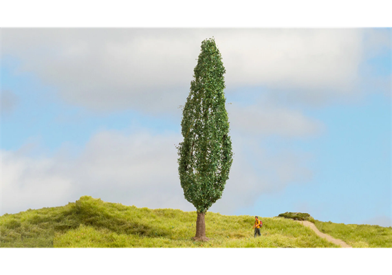 Noch 20130 Pappel, 18 cm hoch | Bild 1