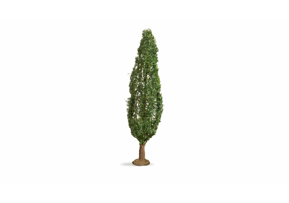 Noch 20130 Pappel, 18 cm hoch | Bild 2