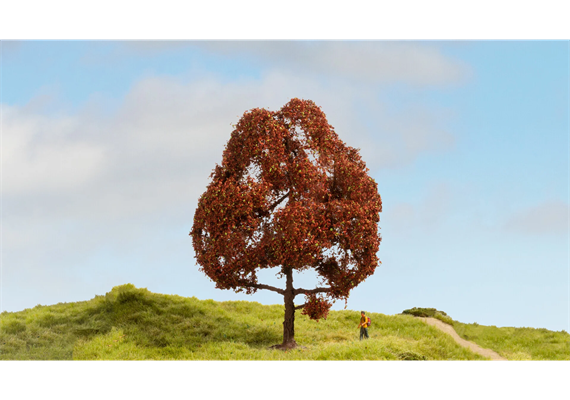 Noch 20150 Rotbuche, 15 cm hoch | Bild 1