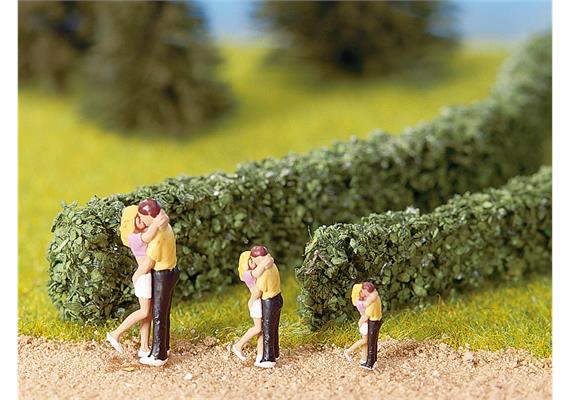 NOCH 21524 2 Modellhecken dunkelgrün, 1 x 0,6 cm, 50 cm lang | Bild 4