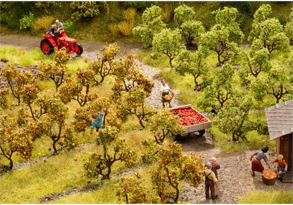 Noch 21532 Plantagenbäume mit Äpfeln - H0 (1:87) | Bild 3