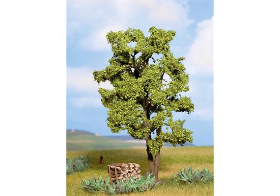 Noch 21660 Akazie, 15 cm hoch | Bild 1