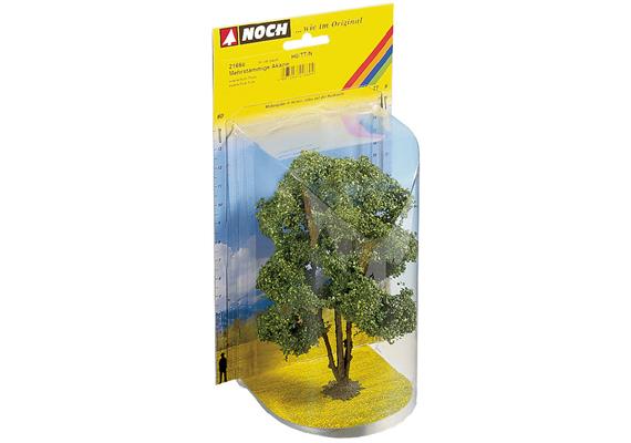 Noch 21660 Akazie, 15 cm hoch | Bild 2