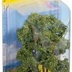 Noch 21660 Akazie, 15 cm hoch | Bild 2